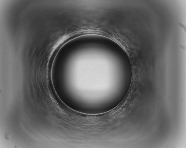 X0000097300008200802151449
