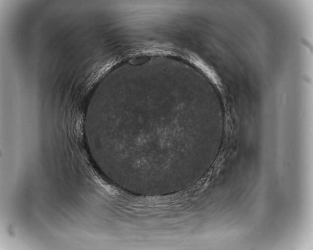 X0000097300009200802151449