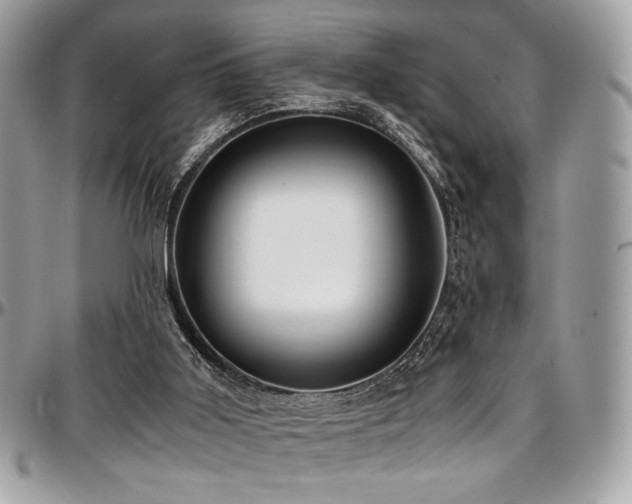 X0000097300011200802151449