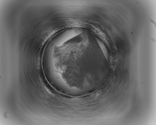 X0000097300012200802151449
