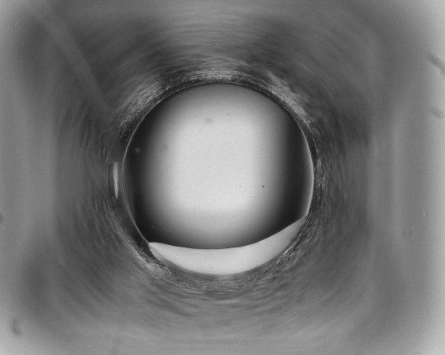 X0000097300013200802151449