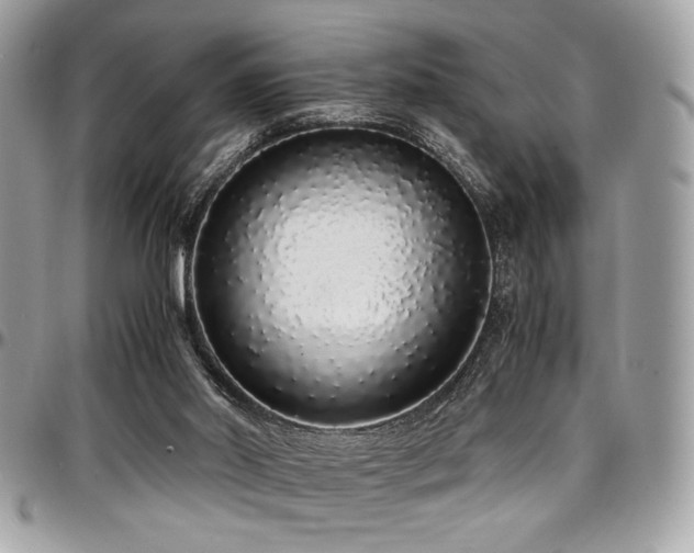 X0000097300014200802151449