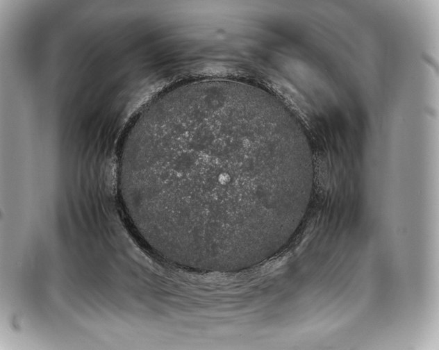 X0000097300016200802151449