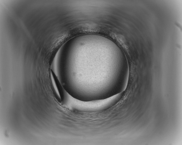 X0000097300017200802151449