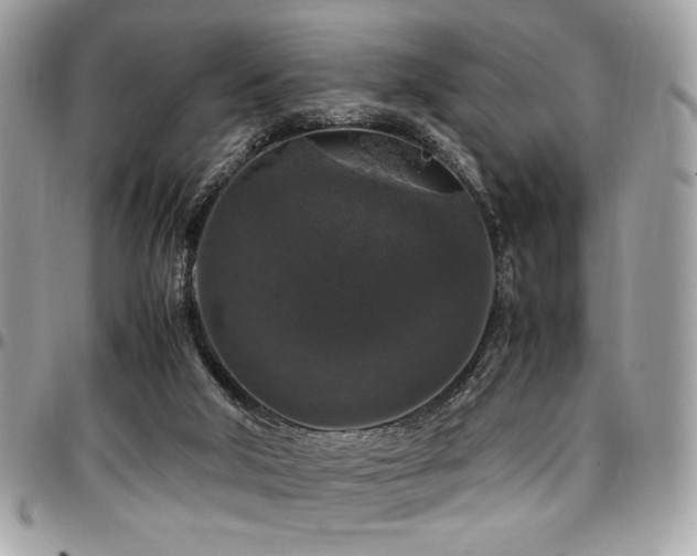 X0000097300018200802151449