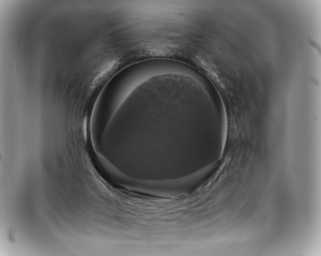 X0000097300019200802151449