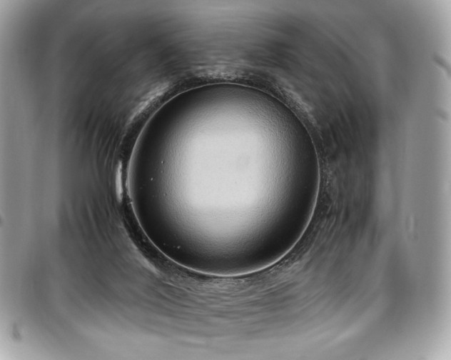 X0000097300020200802151449
