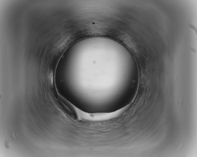 X0000097300021200802151449