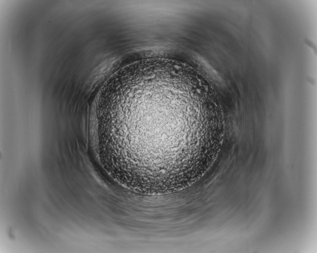 X0000097300022200802151449