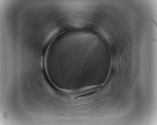 X0000097300023200802151449