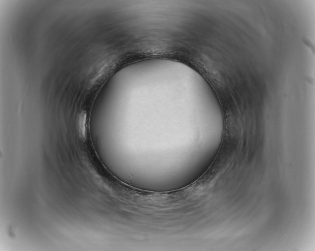 X0000097300024200802151449