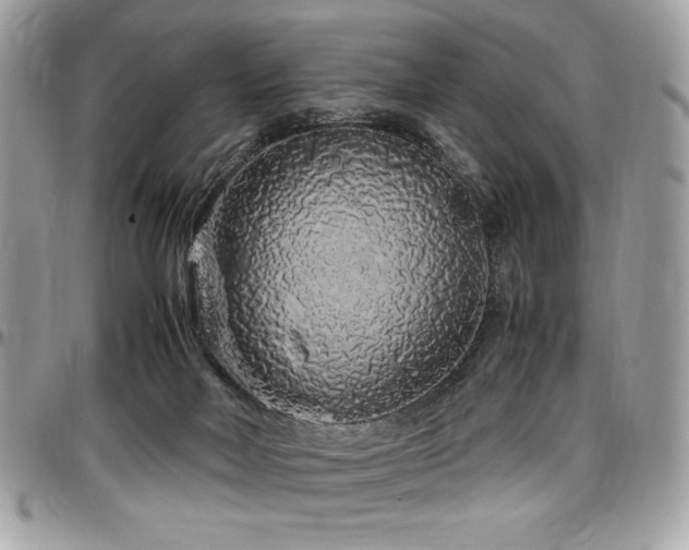 X0000097300026200802151449