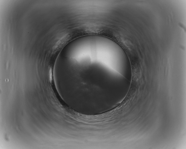 X0000097300027200802151449