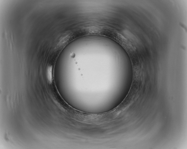 X0000097300028200802151449