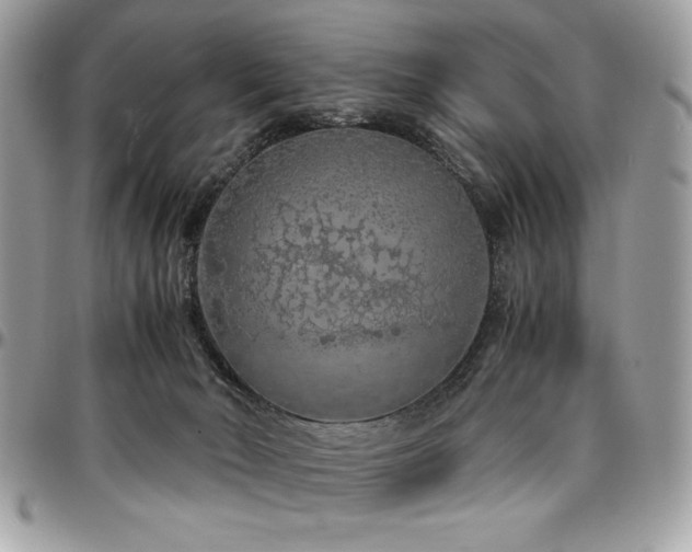 X0000097300030200802151449