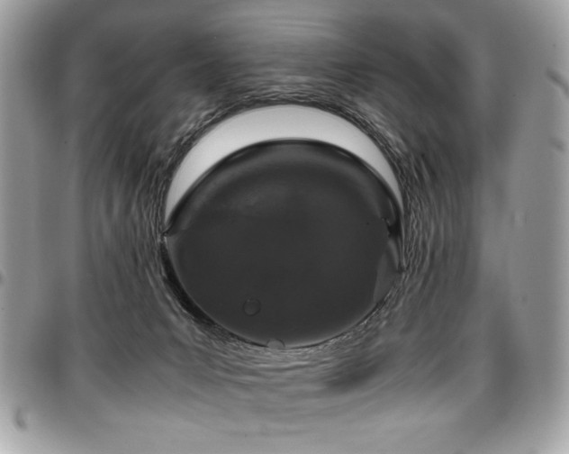 X0000097300031200802151449