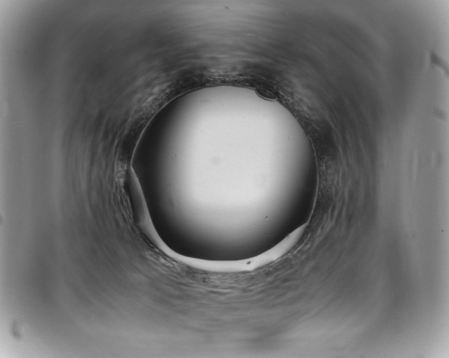 X0000097300033200802151449