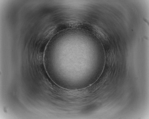 X0000097300034200802151449