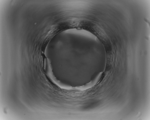 X0000097300035200802151449