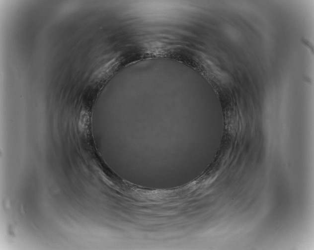 X0000097300036200802151449