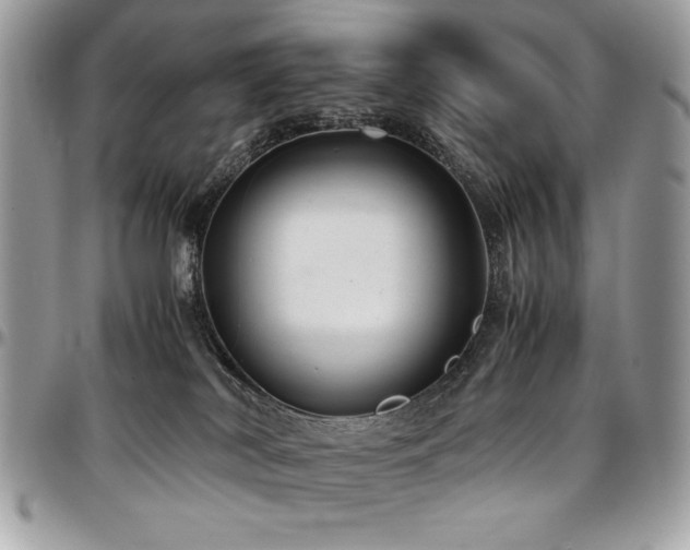 X0000097300038200802151449