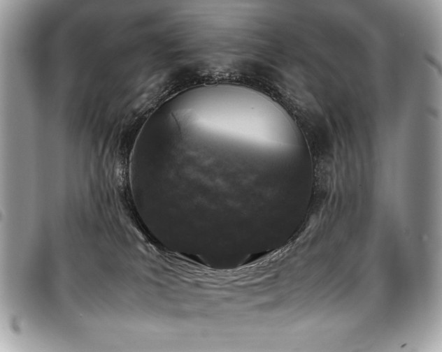 X0000097300039200802151449