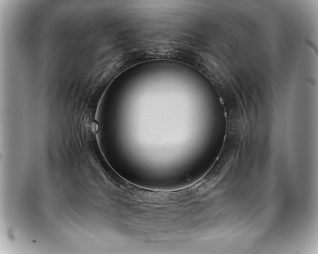 X0000097300040200802151449