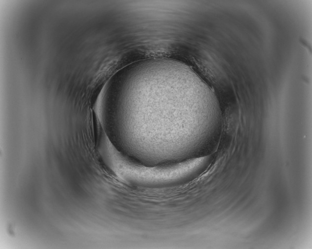 X0000097300041200802151449