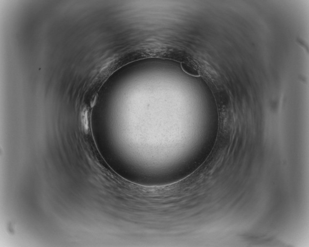 X0000097300042200802151449