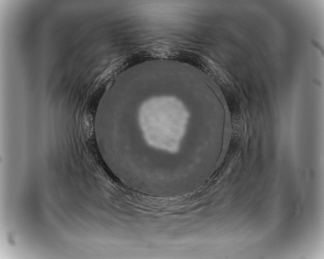 X0000097300043200802151449