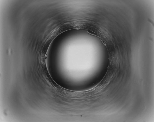 X0000097300044200802151449