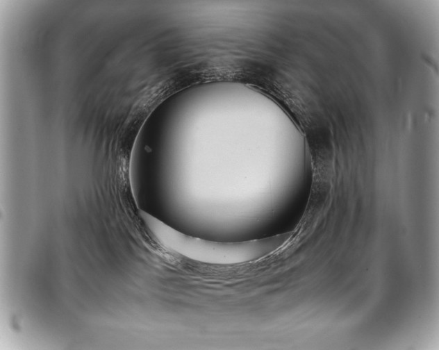 X0000097300045200802151449