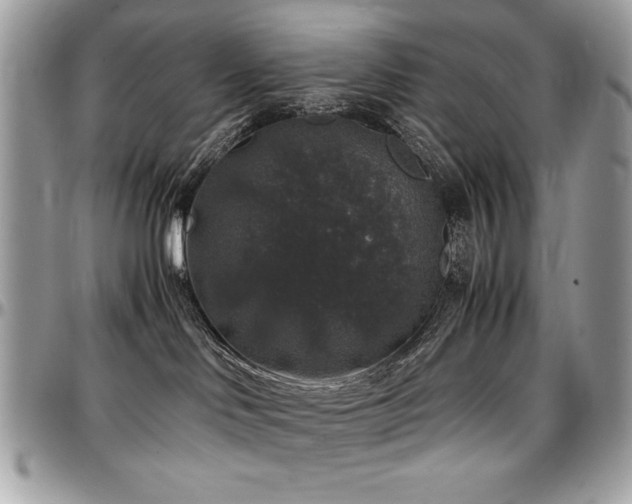 X0000097300046200802151449
