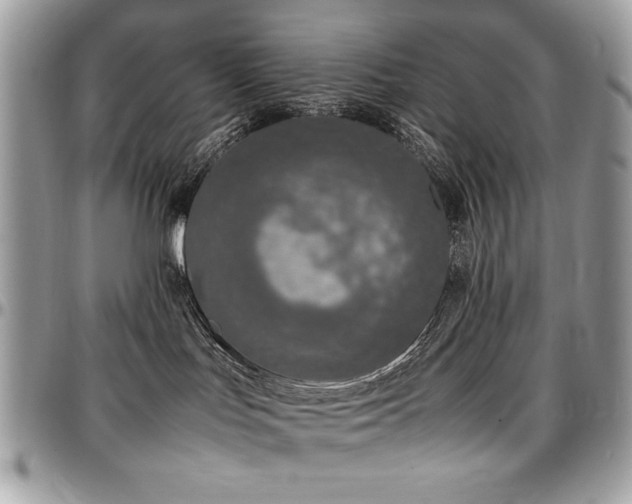 X0000097300047200802151449