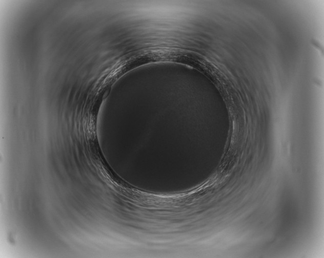 X0000097300048200802151449