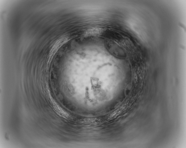 X0000097300049200802151448