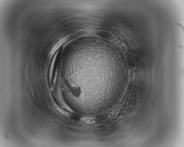 X0000097300051200802151448