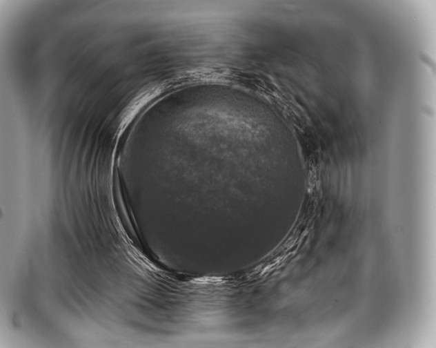 X0000097300052200802151448