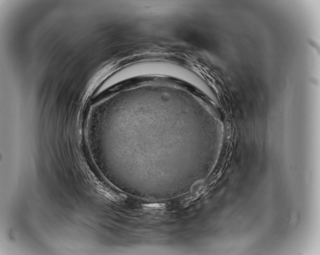 X0000097300053200802151448