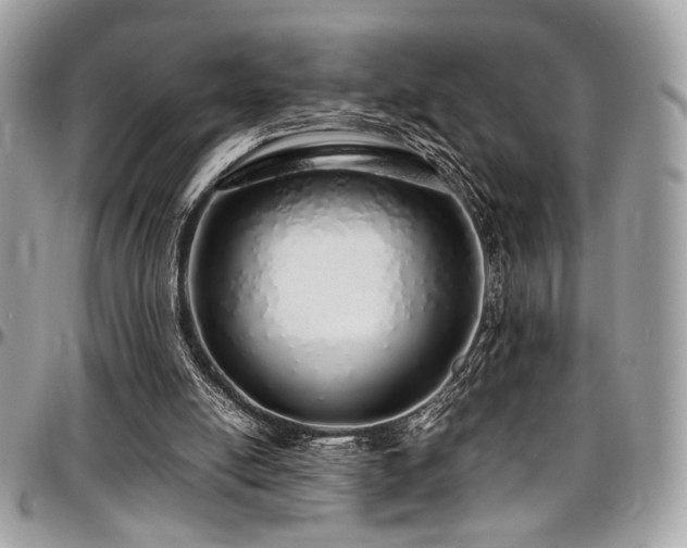 X0000097300054200802151448