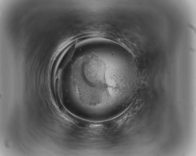 X0000097300055200802151448