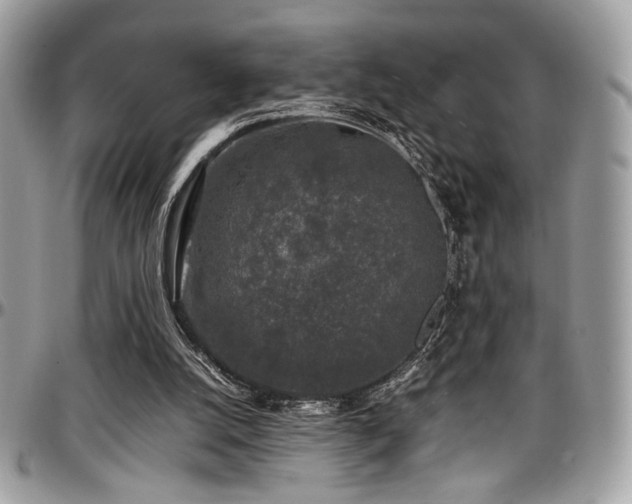 X0000097300056200802151448