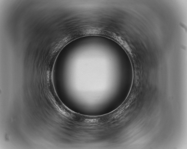 X0000097300057200802151448