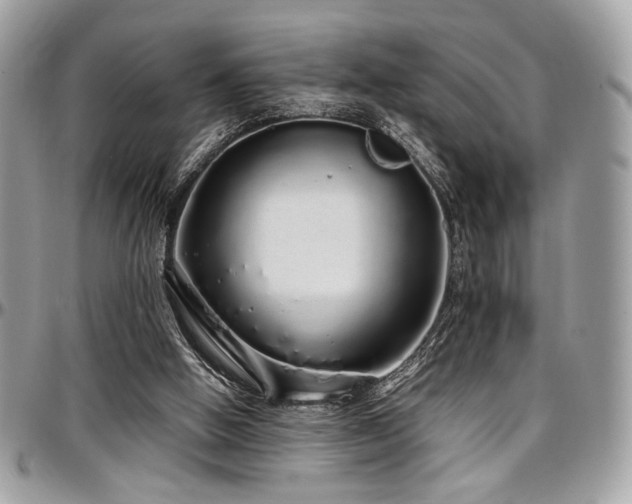 X0000097300058200802151448