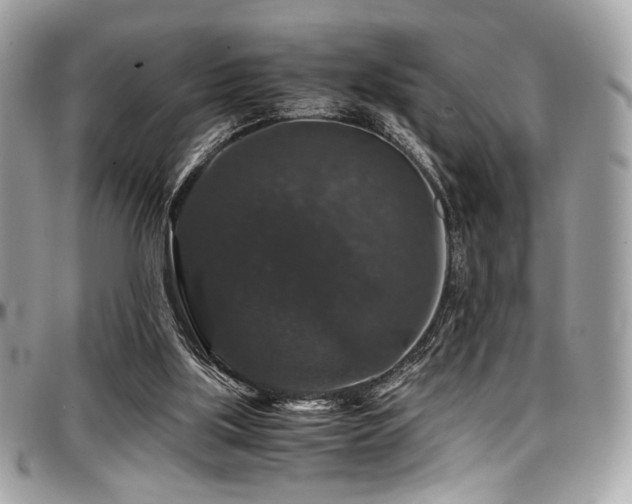 X0000097300059200802151448