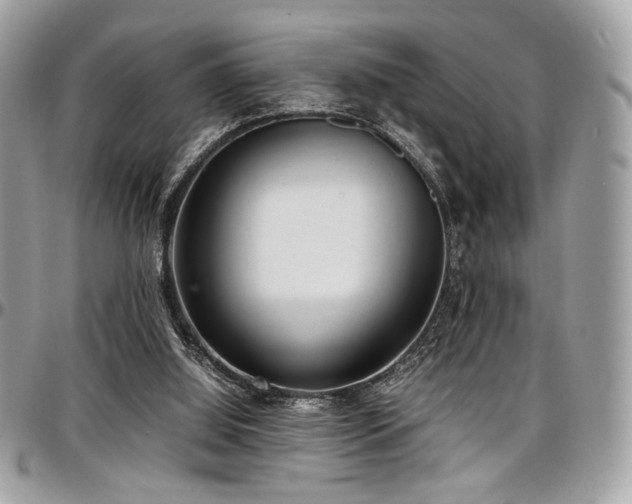 X0000097300060200802151448