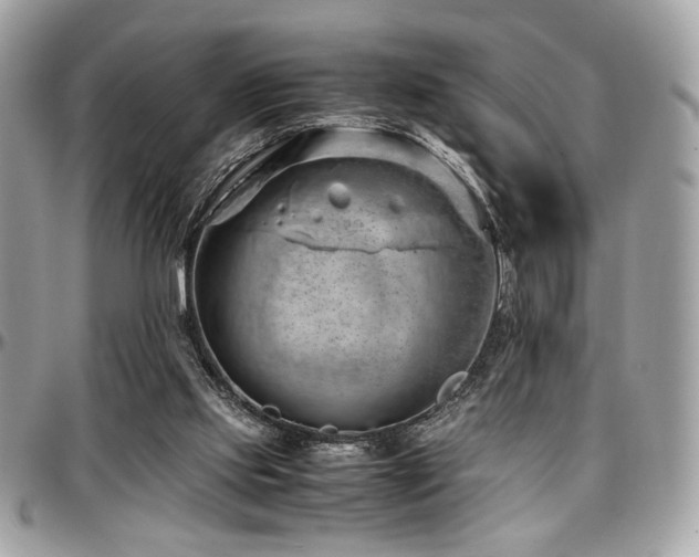X0000097300061200802151448