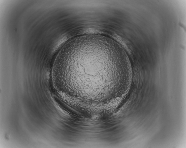 X0000097300063200802151448