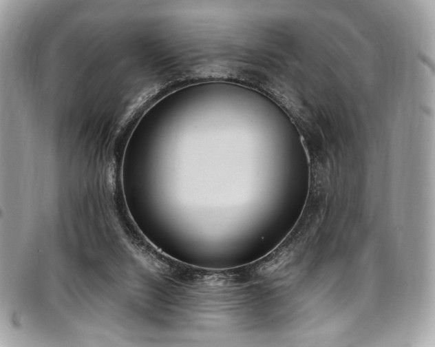 X0000097300064200802151448
