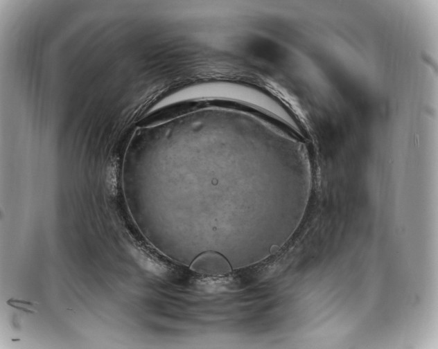 X0000097300065200802151448